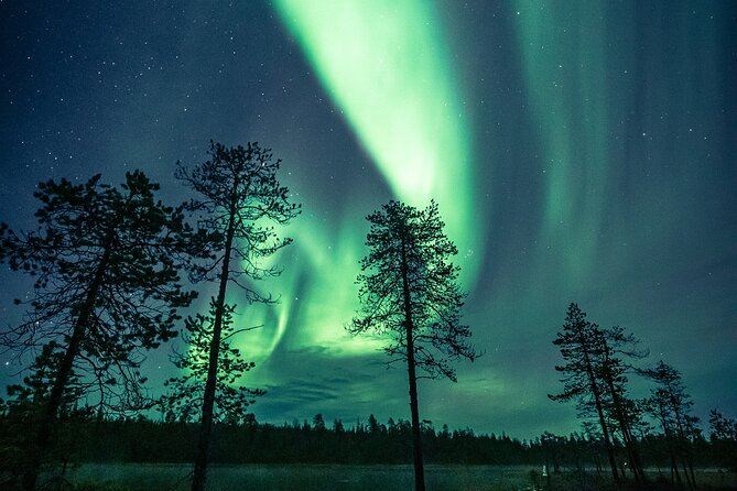 Northern Lights Hunting by Car in Rovaniemi - Good To Know
