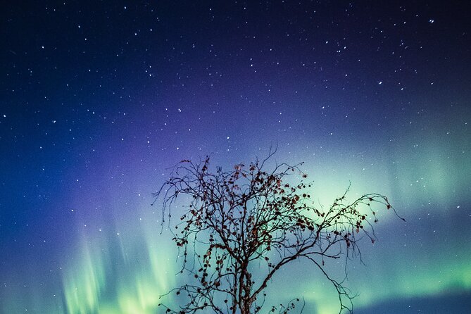 Northern Lights Hunting by Car in Rovaniemi - Frequently Asked Questions