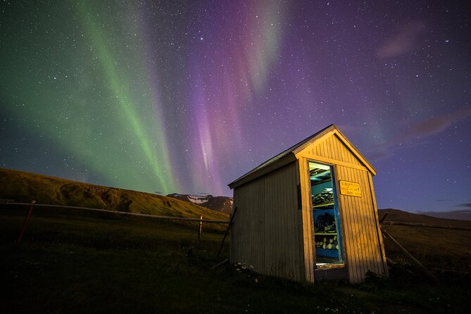 Northern Lights Hunting - Hot Chocolate and Donuts
