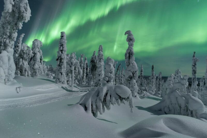 Northern Lights Hunting with Aurora Workshop - Who Would Love This Tour?