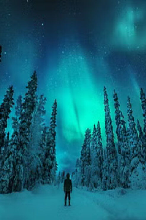 Northern Lights Hunting With Aurora Workshop - Location and Setting