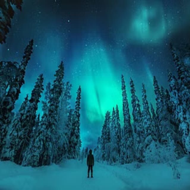 Northern Lights Hunting With Aurora Workshop - Science Behind the Northern Lights