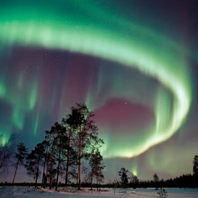 Northern Lights Hunting With Aurora Workshop - Whats Included in the Workshop