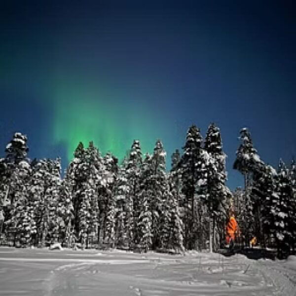 Northern Lights Hunting With Aurora Workshop - Important Participation Guidelines