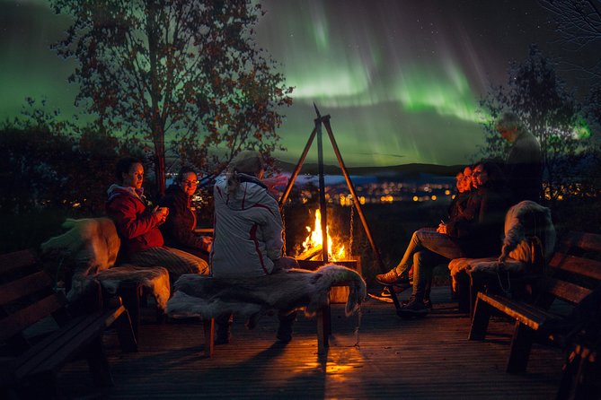 Northern Lights Husky Visit - Tour Overview and Details
