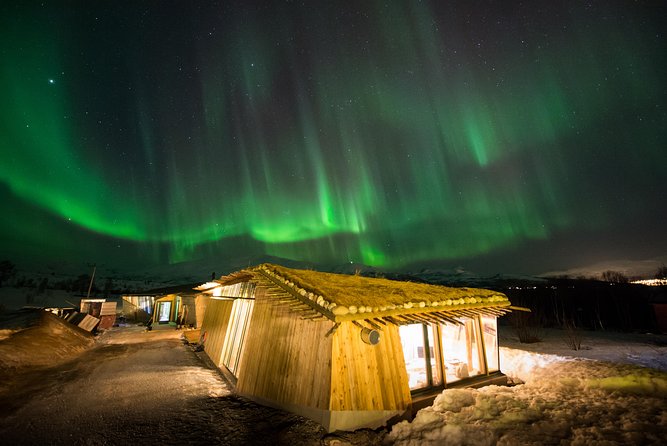 Northern Lights Husky Visit - Traveler Photos and Featured Review