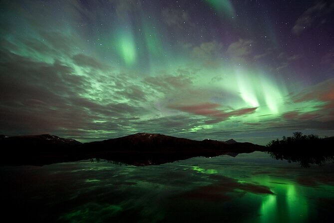 Northern Lights Husky Visit - Common Questions