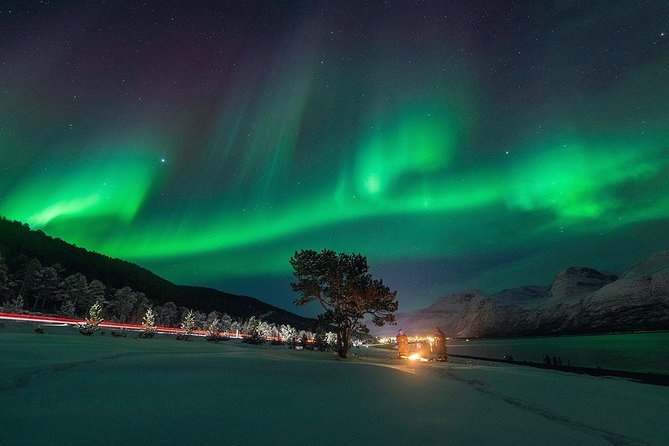 Northern Lights Minibus Chase From Tromso - Tour Expectations and Information