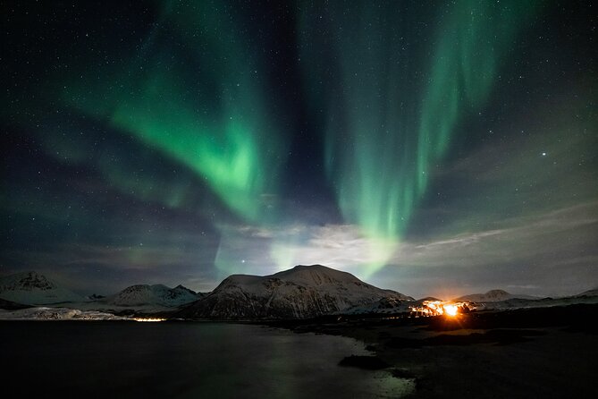 Northern Lights Minibus Chase Lofoten - Reviews and Ratings