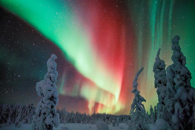 Northern Lights Photography Tour From Rovaniemi - Pricing and Guarantee