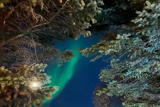 Northern Lights - Private - Reviews