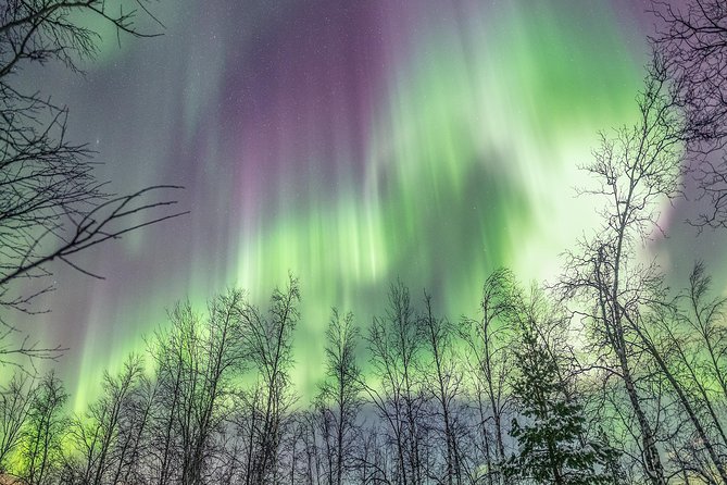 Northern Lights Private Tour With Your Special Ones - Greenlander - Directions