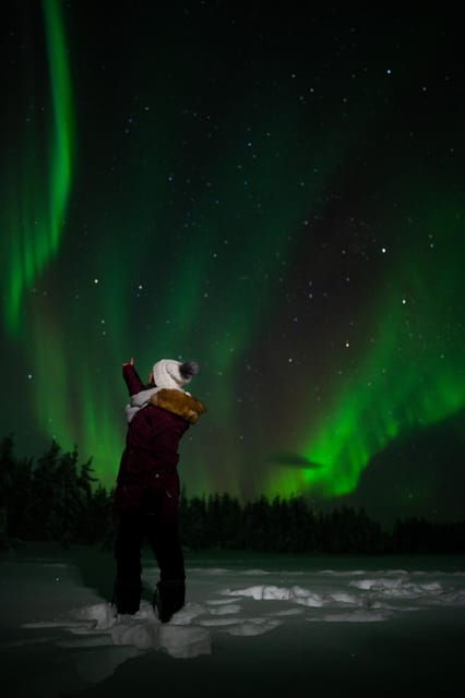 Northern Lights Reindeer Sledge Ride - What to Expect During the Ride