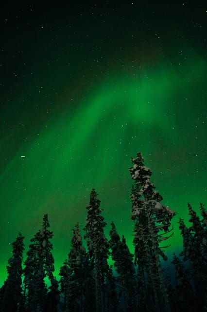 Northern Lights Reindeer Sledge Ride - Insights From Local Herders
