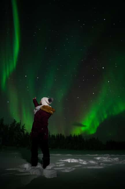 Northern Lights Reindeer Sledge Ride - Introduction: A Magical Arctic Adventure