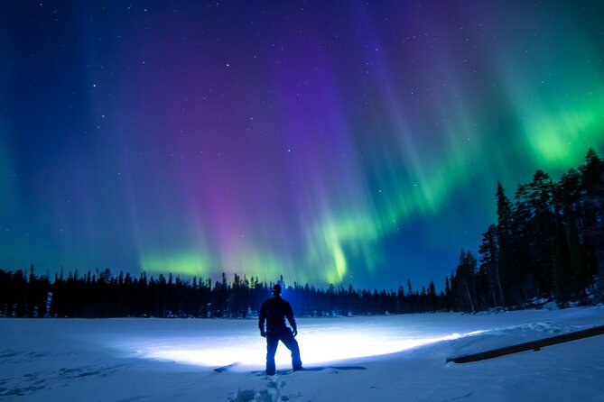 Northern Lights Road Trip From Rovaniemi With Guaranteed Views - Tour Highlights