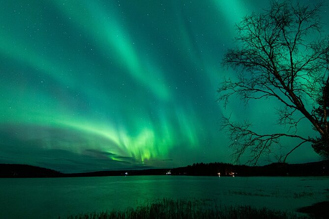 Northern Lights Road Trip From Rovaniemi With Guaranteed Views - Preparation Tips