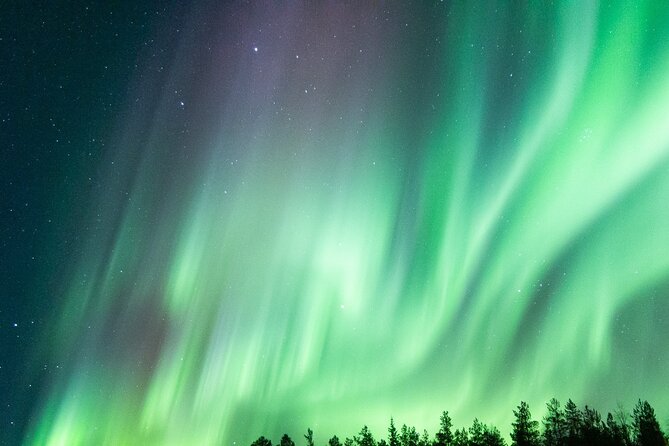 Northern Lights Road Trip From Rovaniemi With Guaranteed Views - Safety Guidelines