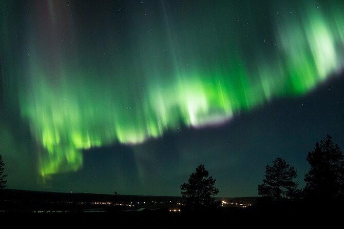 Northern Lights Road Trip From Rovaniemi With Guaranteed Views - The Sum Up