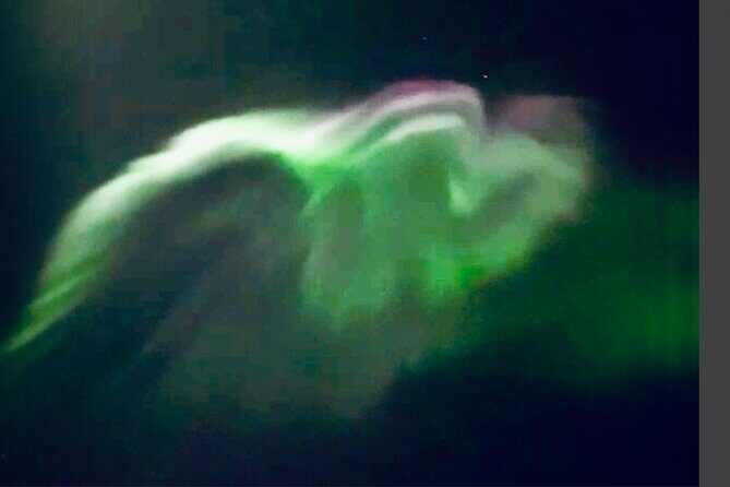 Northern Lights Safari Tromso - Why This Tour Offers Great Value