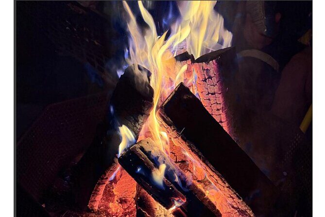 Northern Lights Safari Tromso - Who Is This Tour Best For?