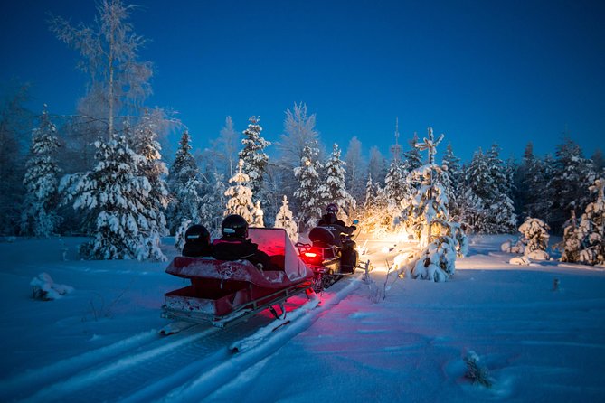 Northern Lights Sledge Ride By Snowmobile - Overview and Inclusions