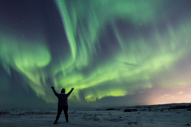 Northern Lights Small Group Photography Tour From Reykjavik - The Sum Up
