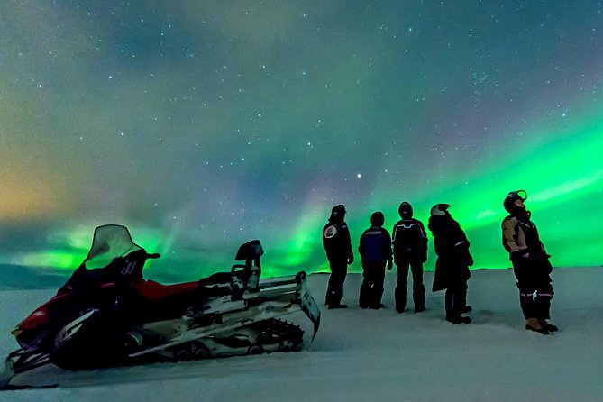 Northern Lights Snowmobile Safari From Rovaniemi With Campfire Picnic - Booking Process