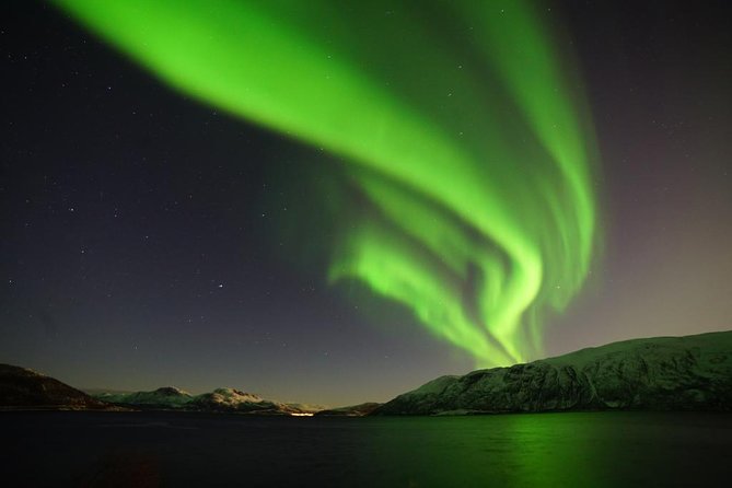 Northern Lights - Teslax Ecofriendly Car - Eco-Friendly Transportation in the Wilderness