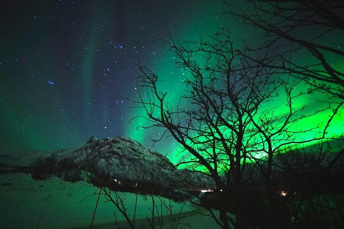 Northern Lights - Teslax Ecofriendly Car - Hassle-Free Round-Trip Hotel Transfer