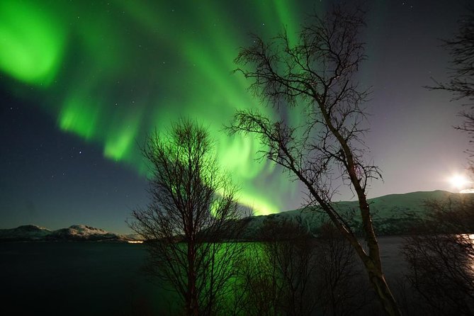 Northern Lights - Teslax Ecofriendly Car - Common Questions