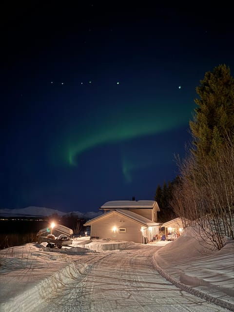 Northern Lights Tour - Experience Highlights