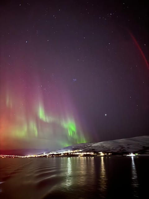 Northern Lights Tour - Trained Guides and Assistance