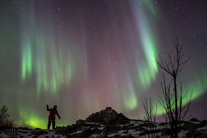Northern Lights Tour - All Inclusive - Northern Horizon - Tour Highlights
