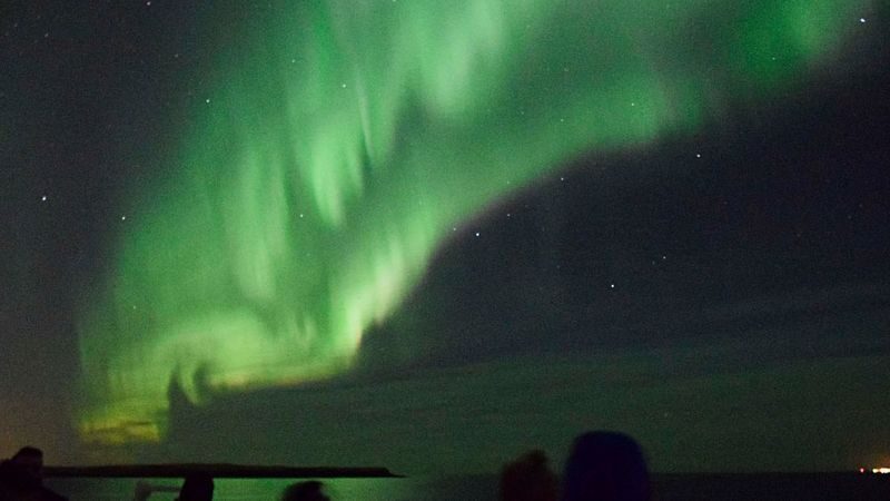 Northern Lights Tour from Reykjavik by Boat - Sailing beyond the harbor lights