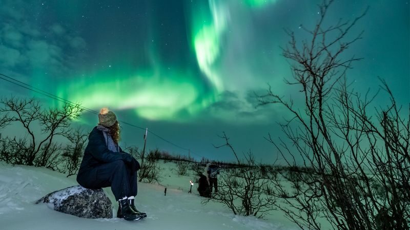 Northern Lights Tour from Tromso - From evening pickup to the return drive
