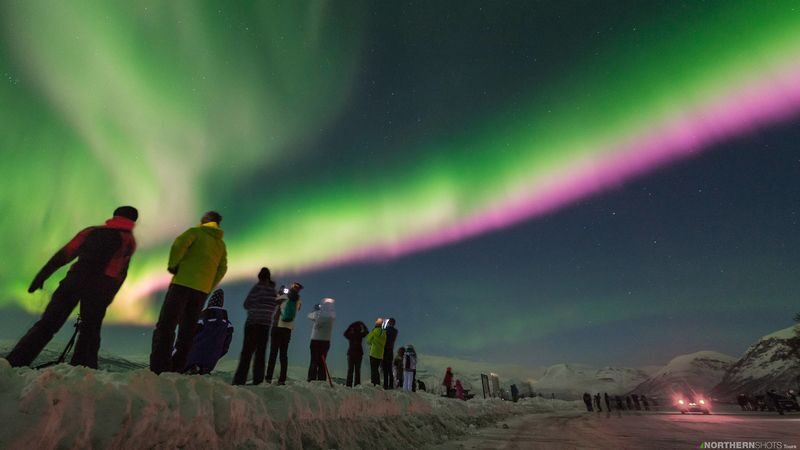 Northern Lights Tour from Tromso - From central Tromsø to wherever the sky opens