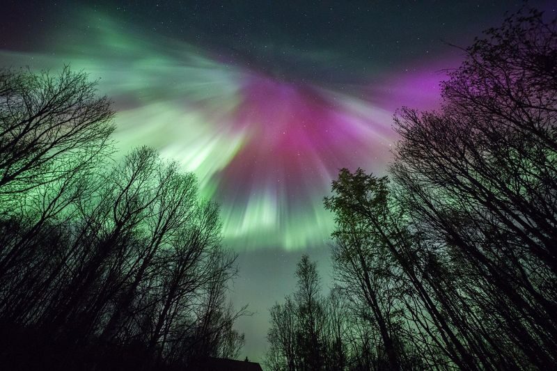 Northern Lights Tour from Tromso - Hot chocolate, cold waits, and roadside stops