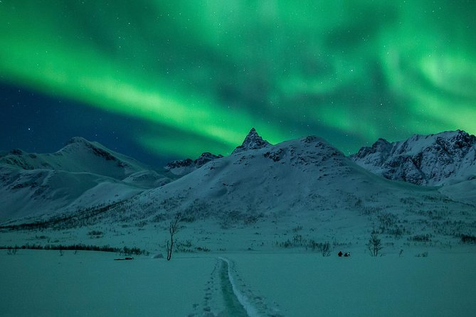 Northern Lights Tour From Tromsø - Traveler Photos and Reviews
