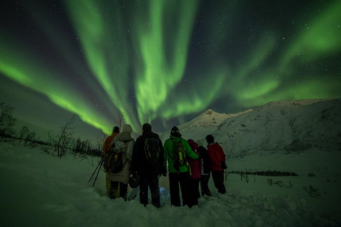 Northern Lights Tour From Tromsø - Common Questions