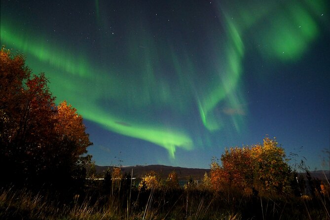 Northern Lights Tour With Alta Adventure - Learning About Stars and Constellations