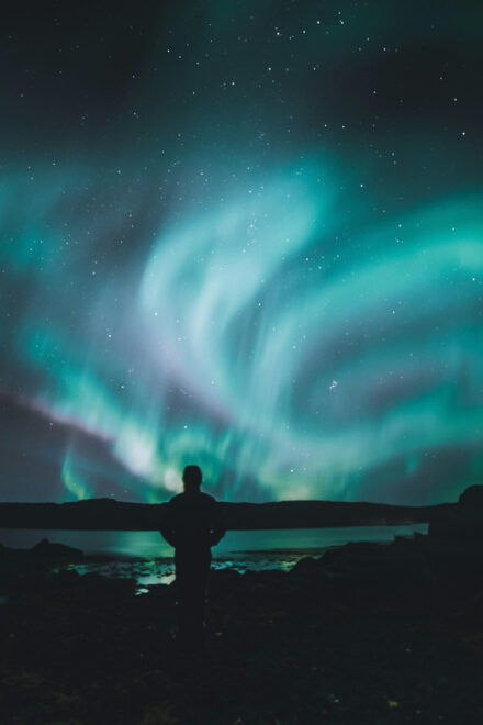 Northern Lights Tour With Campfire, Snacks and Videos - Bonfire With Marshmallows