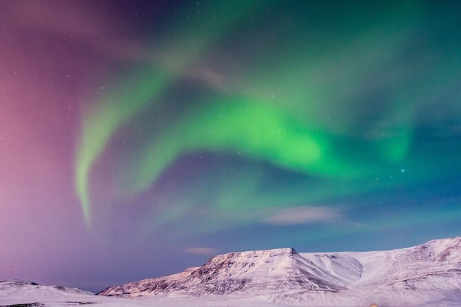 Northern Lights Tour With Icelandic Snacks and Hot Chocolate - Experience Highlights