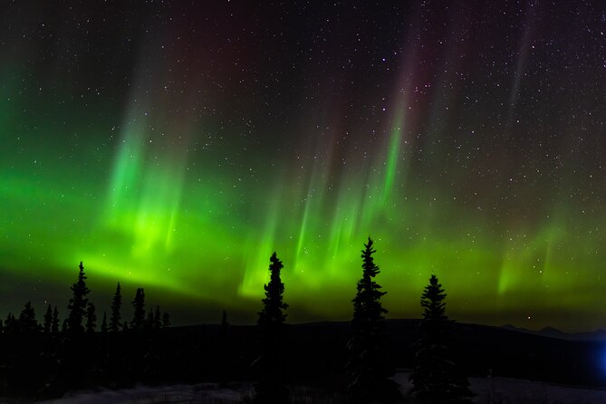 Northern Lights Tours and Lifetime Adventure From Anchorage - Confirmation and Participation Information