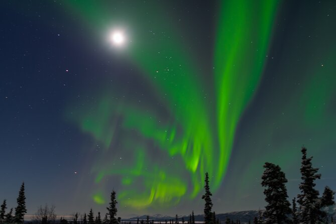 Northern Lights Tours and Lifetime Adventure From Anchorage - Common Questions