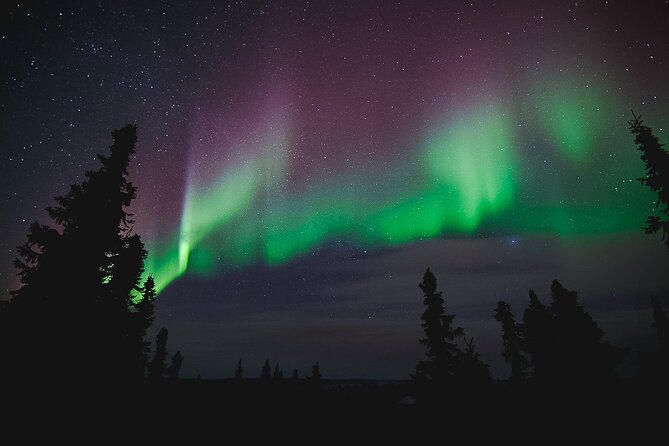 Northern Lights Viewing at Murphy Dome - The Sum Up