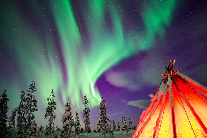 Northern Lights Wilderness Small-Group Tour From Rovaniemi - Tour Details