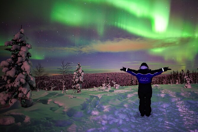 Northern Lights Wilderness Small-Group Tour From Rovaniemi - Pickup and Meeting