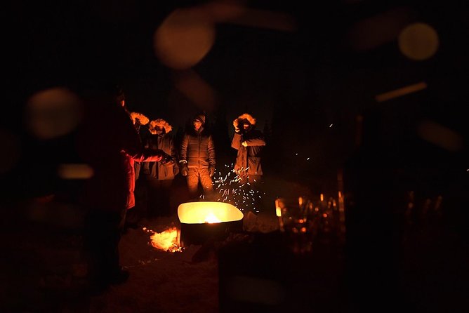 Northern Lights Winter Nights Adventure - Itinerary Highlights