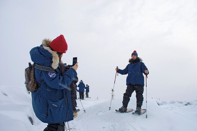 Northern Lights Winter Nights Adventure - Traveler Photos